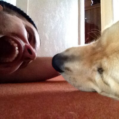 Profile Picture of Richard Andrew Dale (@RADhimself) on Twitter