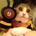 Profile Picture of Simona Wong (@szemon0101) on Pinterest