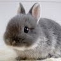 Profile Picture of Michelle Zacharia (@michelle-zacharia-2) on Quora