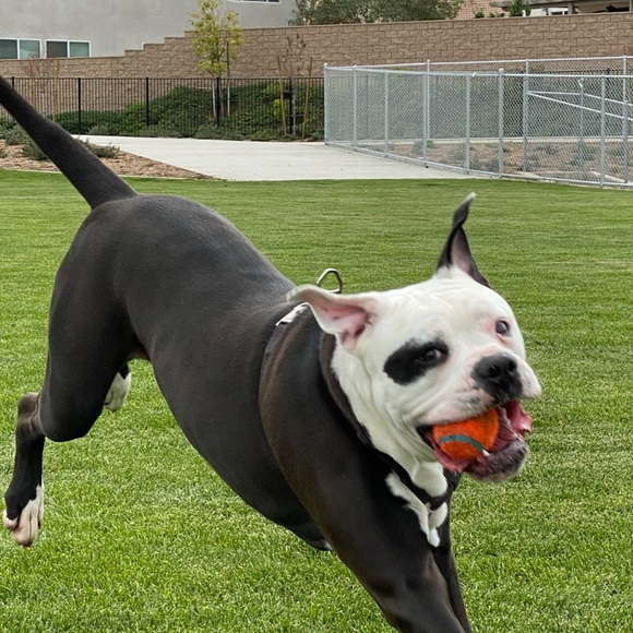 Profile Picture of John Duffy (@jduffy39) on Poshmark