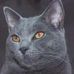 Profile Picture of Thomas Hilbert (@thomas.hilbert.14) on Facebook