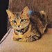 Profile Picture of Barney Moore (@barndogusn) on Pinterest