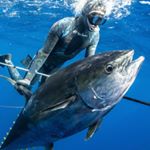 Profile Picture of Daniel Hulme (@daniel.hulme) on Instagram