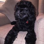 Profile Picture of Jean Hobbs (@jean.hobbs.792) on Instagram