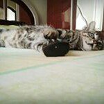 Profile Picture of Bryan Holder (@glennbryanholder) on Instagram