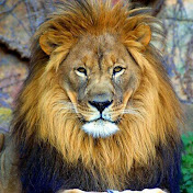 Profile Picture of Raj Khosla (@rajkhosla9853) on Youtube