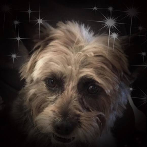 Profile Picture of Judy Grubowski (@judygrubowski) on Poshmark