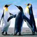 Profile Picture of Chrispin Kombo (@chrispinkombo) on Pinterest
