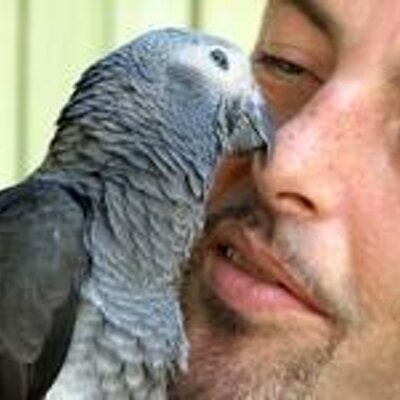 Profile Picture of Daniel Alire (@e24795_) on Twitter