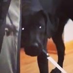 Profile Picture of Valentin (@valentin_stoyanov_tsvetanov) on Instagram