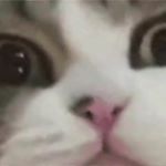 Profile Picture of Benjamin Dunn (@benjamin.dunn.14) on Instagram