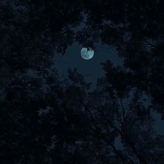 Profile Picture of Ana (@ananinha____) on Tiktok