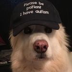 Profile Picture of Danick robert (@danickrobert) on Instagram