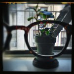 Andrew Payne - Instagram Profile Picture of Andrew Payne (@a.o.payne) on Instagram