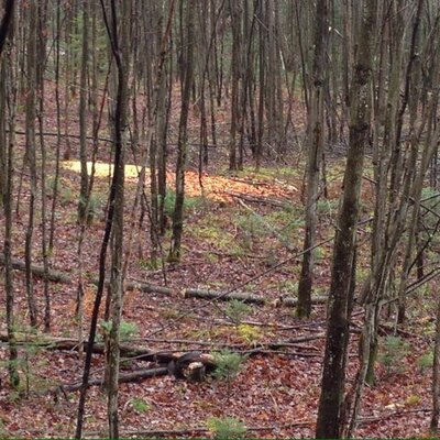 Profile Picture of Nick Guay (@NickNguay) on Twitter