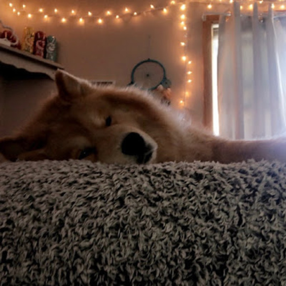 Profile Picture of Natalee Klammer (@nataleeklammer) on Poshmark