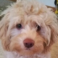 Profile Picture of Sue Mattes (@sue-mattes-1) on Quora