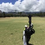 Peter Khong - Instagram Profile Picture of Peter Khong (@forever_alawai) on Instagram