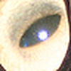 Profile Picture of chris luck (@luckchris) on Flickr