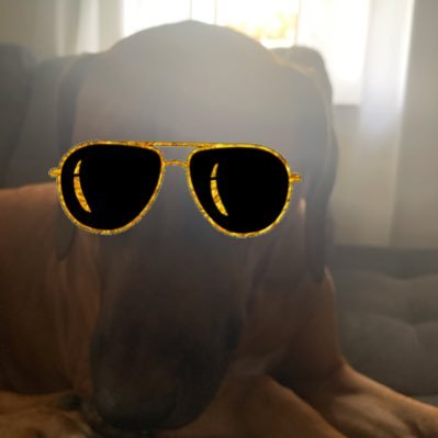 Profile Picture of Alex Doucette (@AckyDouce) on Twitter