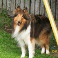 Randy Tilley - Quora Profile Picture of Randy Tilley (@randy-tilley-7) on Quora