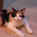 Profile Picture of Kakanota (@kakanota) on Flickr