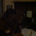 Profile Picture of Andi Cook (@andicook545) on Instagram