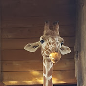 Profile Picture of Chris Edwards (@chrisedwards2130) on Youtube