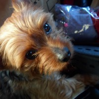 Profile Picture of Bailey Frey (@bailey-frey-3) on Quora