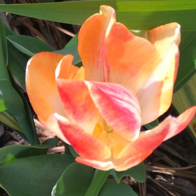 Profile Picture of Claudia Gale (@clodja999) on Twitter