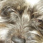 Profile Picture of carlos guadalupe (@carlos_guadalupe123) on Instagram