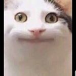 Profile Picture of Andrew leyba (@69wschevyrider69) on Instagram