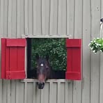 Profile Picture of Joanne Hass (@joanne.hass.54) on Facebook