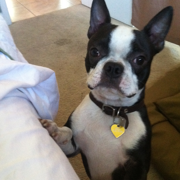 Profile Picture of Leighanne Grenade (@leighanneg) on Poshmark