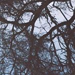 Profile Picture of Daniel Behrens (@_danielbehrens_) on Instagram