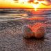 Profile Picture of Mark Winston (@mark.winston.7564) on Facebook