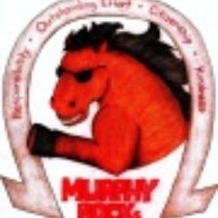 Profile Picture of Dr. Charles Murphy (@cem_mps) on Twitter