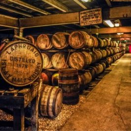 Profile Picture of Barry Mcinnes (@McinnesBarry) on Twitter