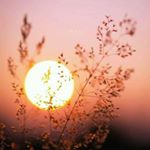 Profile Picture of zakia_abdallah (@zakia_abdallah5) on Instagram