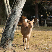 Mio Hayashi - Youtube Profile Picture of Mio Hayashi (@miohayashi1671) on Youtube