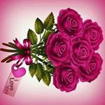 Profile Picture of Joachim Martin (@joachim.martin.5458) on Instagram