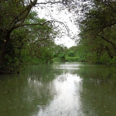 Johan Paul - Twitter Profile Picture of Johan Paul (@johanpaul09) on Twitter