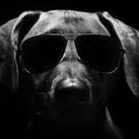 Profile Picture of Jared Gooding (@jared-gooding-2) on Quora