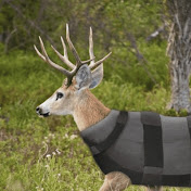 Profile Picture of Travis Bates (@travisbates8549) on Youtube