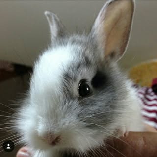 Profile Picture of Matthew Lanter (@matthewlanter) on Instagram