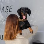 Profile Picture of Laura Held (@Laura-Held) on Facebook