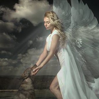 Profile Picture of Martin Weintraub (@marts70) on Twitter