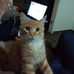Profile Picture of Andre KillWin (@andre.kiuwin.3) on Facebook