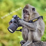 Profile Picture of Trần Thanh Phong *** (@my number : +840123456789) on Flickr