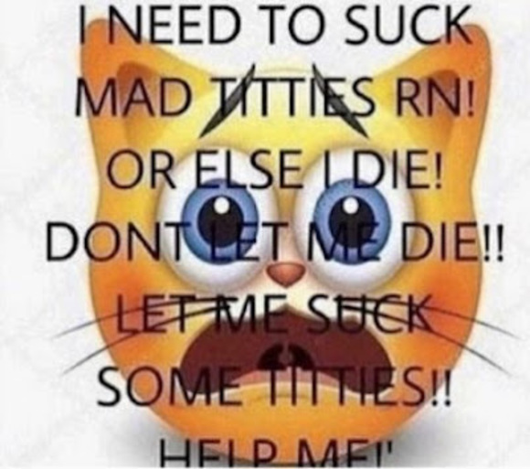 Danny Standish - Poshmark Profile Picture of Danny Standish (@seguimi) on Poshmark